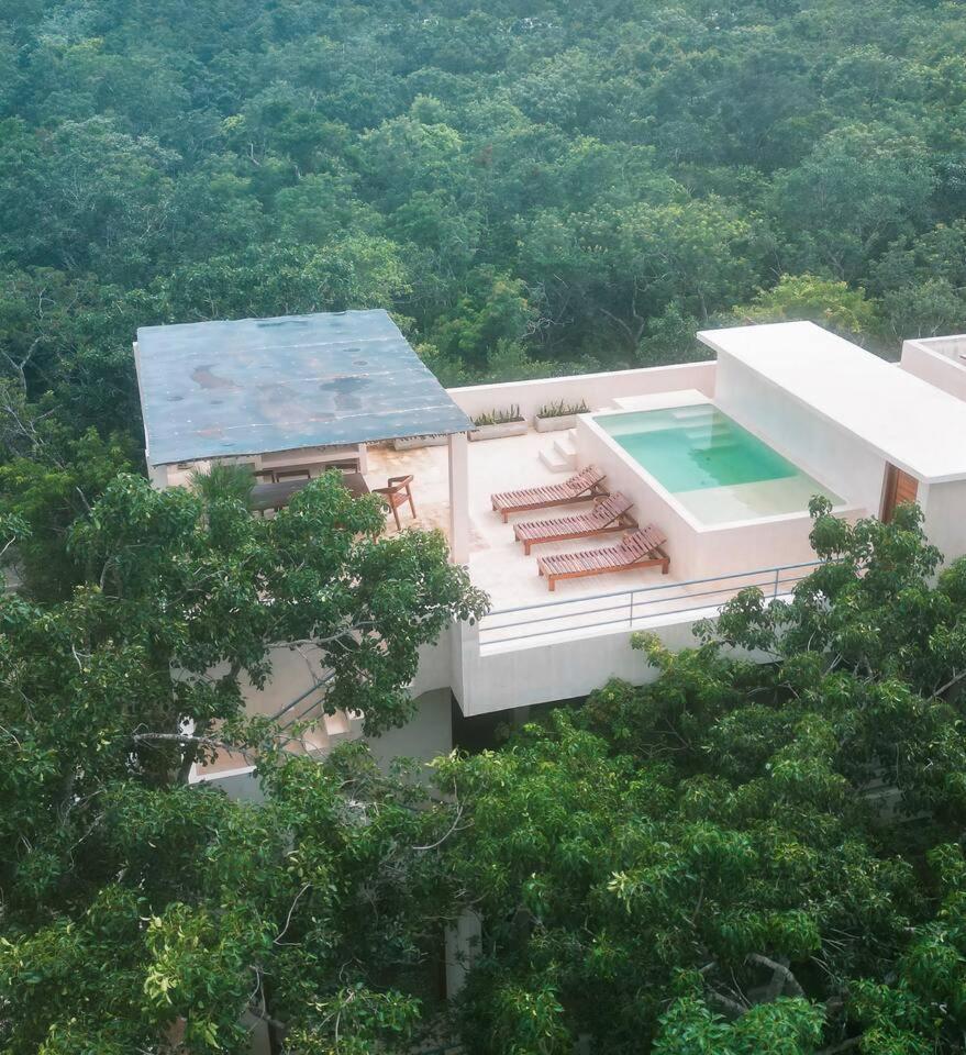 T1ph New Breathtaking Penthouse And Rooftop * Tulum